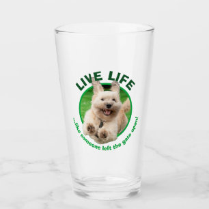 Dog Running In Yard Glass