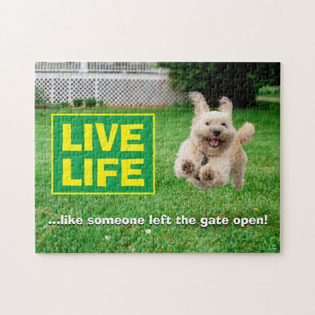 Dog Running In Yard Jigsaw Puzzle (Horizontal)