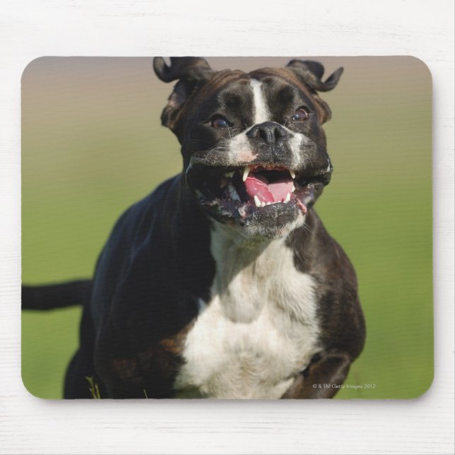 Dog Running Mouse Mat (Front)