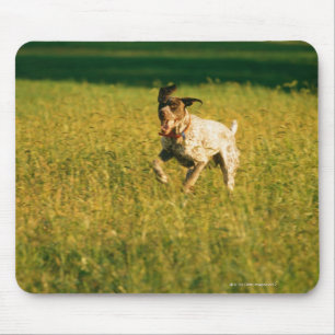 Dog running through grass mouse mat