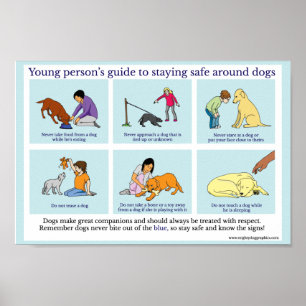 Dog safety poster