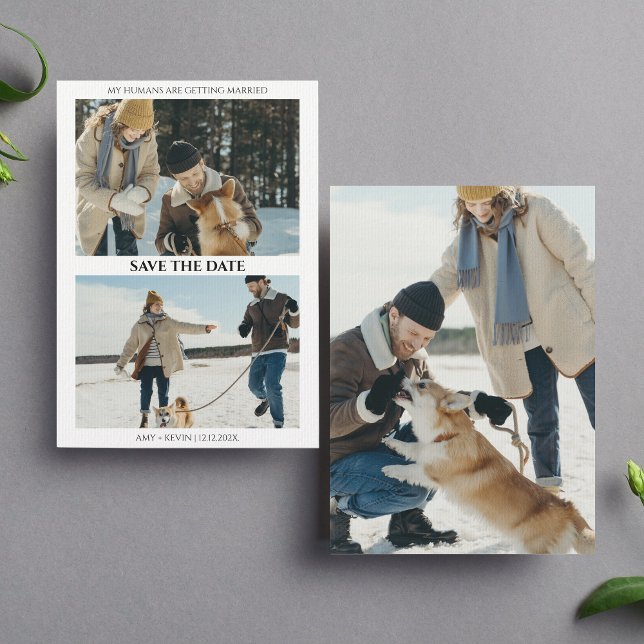 Dog Save the Date Humans Getting Married Wedding Invitation (Creator Uploaded)