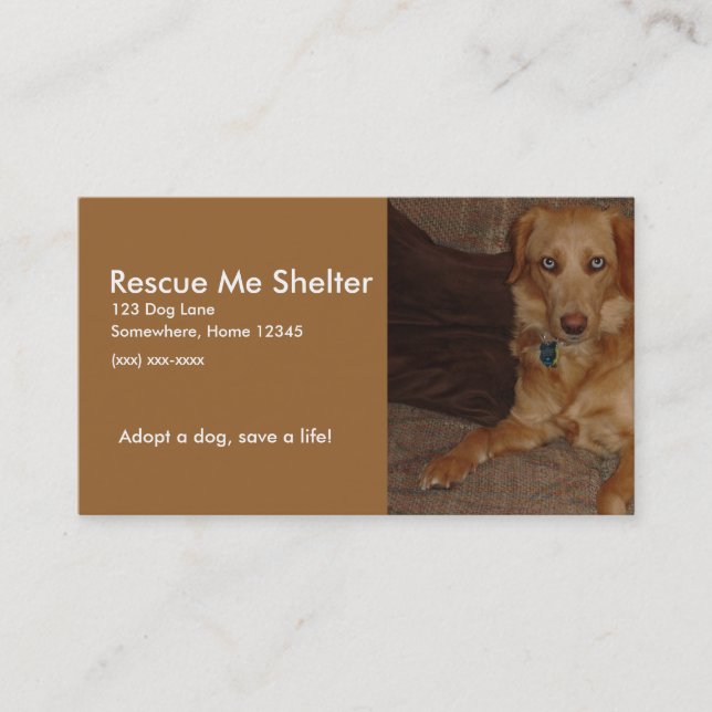 Dog Shelter Business Card (Front)