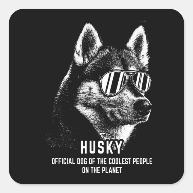 Dog | Siberian Husky Official Dog Of Coolest Square Sticker (Front)
