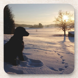 Dog Silhouette in Snowy Landscape Coaster