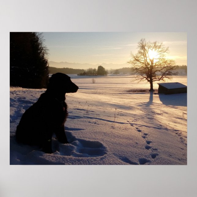 Dog Silhouette in Snowy Landscape Poster (Front)