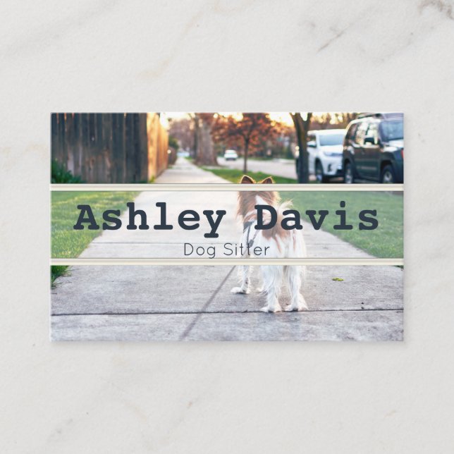 Dog Sitter business cards (Front)