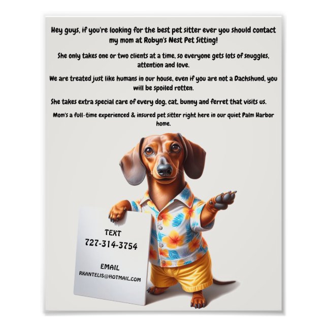 Dog Sitter Poster (Front)