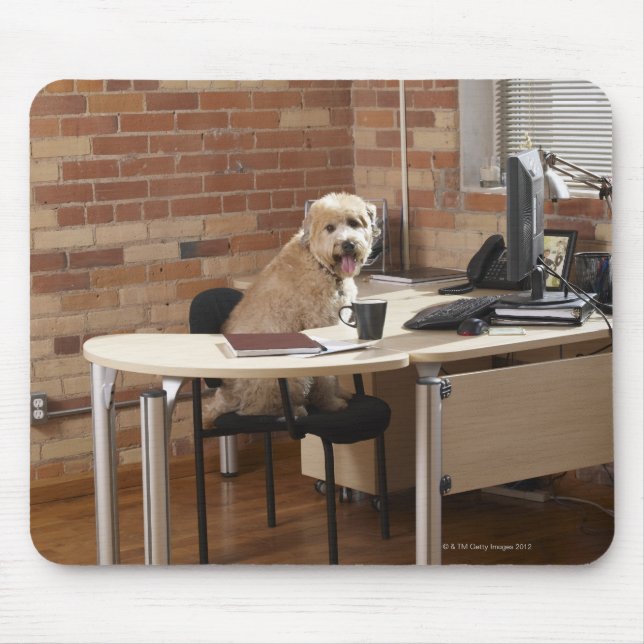 Dog Sitting at Desk Mouse Mat (Front)