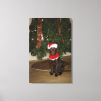 Dog sitting by a Christmas tree