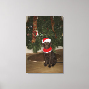 Dog sitting by a Christmas tree Canvas Print