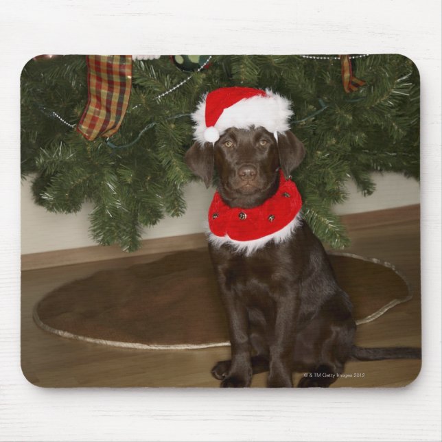Dog sitting by a Christmas tree Mouse Mat (Front)