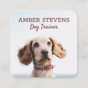 Dog Sitting   Dog Trainer Square Business Card