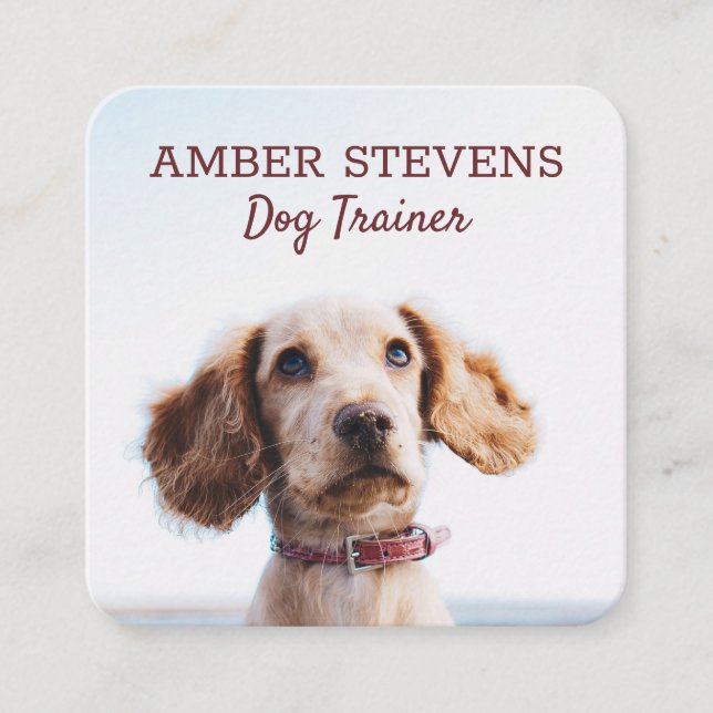 Dog Sitting | Dog Trainer Square Business Card (Front)
