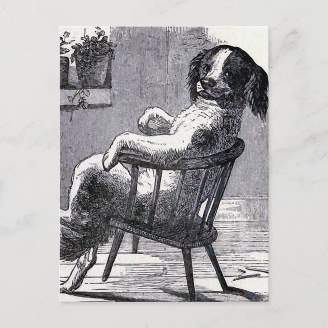 "Dog Sitting in a Chair" Illustration Postcard (Front)