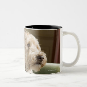 Dog sitting in armchair Two-Tone coffee mug