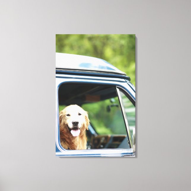 Dog Sitting in Car Canvas Print (Front)