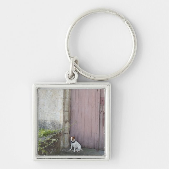 Dog sitting in front of closed doors key ring (Front)