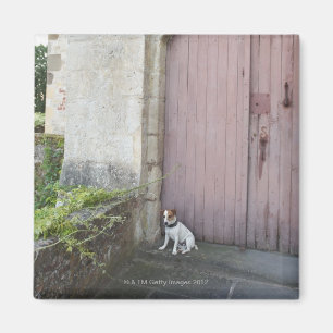 Dog sitting in front of closed doors magnet