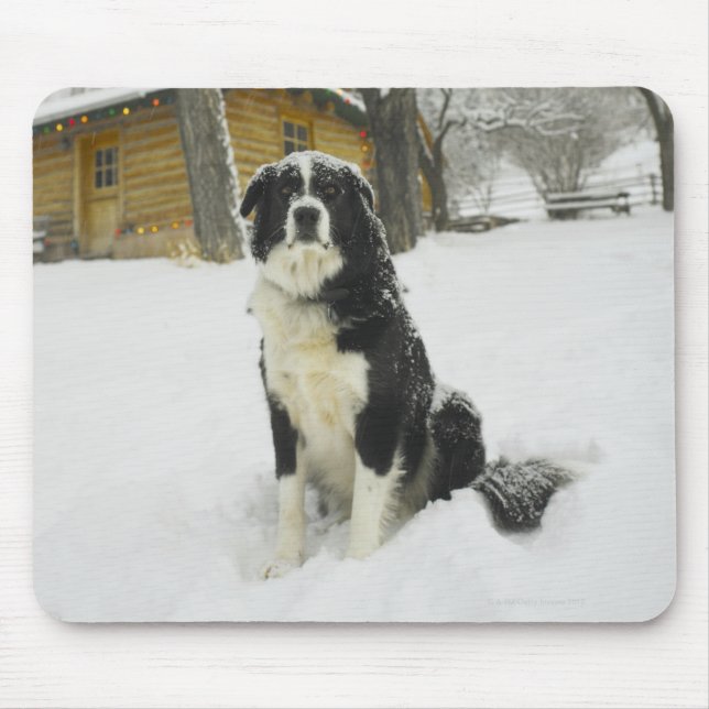 Dog sitting in snow with log cabin behind mouse mat (Front)