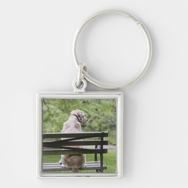 Dog sitting on park bench key ring (Front)