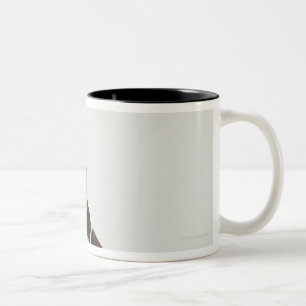 Dog sitting with a tiara on head Two-Tone coffee mug