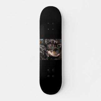 Dog Skate Board