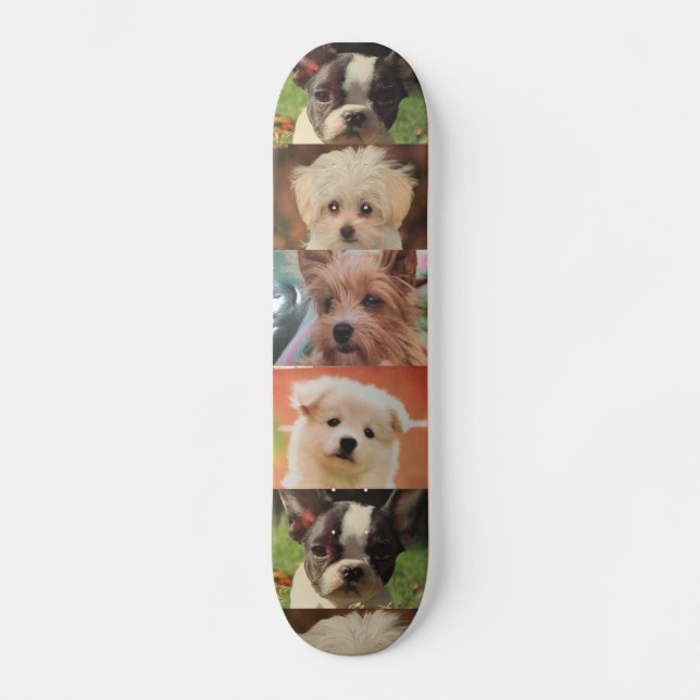Dog skateboard (Front)