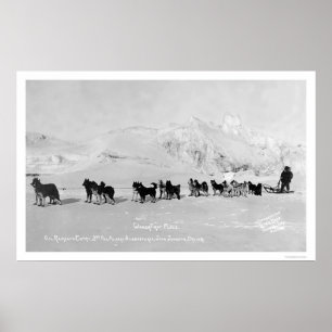 Dog Sled Champions Alaska 1910 Poster
