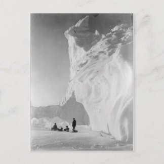 Dog Sled Team Resting by Iceberg Postcard