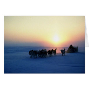Dog sled travel at 45 degrees Celsius, Baffin Isla