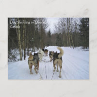 Dog Sledding in Quebec, Canada