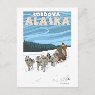 Dog Sledding Scene - Cordova, Alaska Postcard
