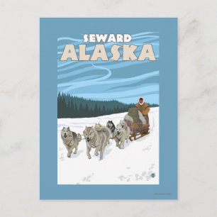 Dog Sledding Scene - Seward, Alaska Postcard