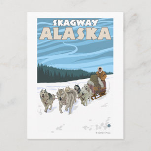 Dog Sledding Scene - Skagway, Alaska Postcard