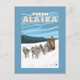 Dog Sledding Scene - Yukon, Alaska Postcard