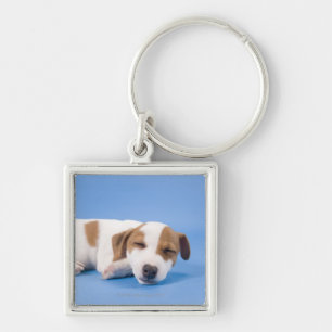Dog sleeping key ring