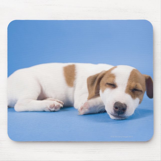 Dog sleeping mouse mat (Front)