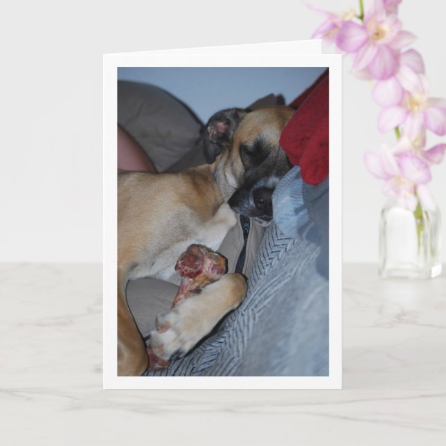 Dog Sleeping with Bone Card (Orchid)