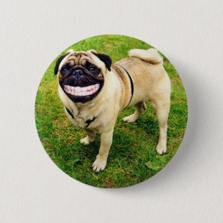 dog smile pug cute 6 cm round badge