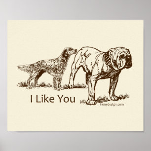 Dog Sniffs Butt Poster