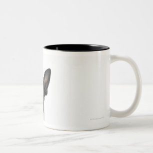 dog standing on 2 legs looking at camera Two-Tone coffee mug