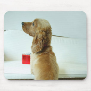 Dog standing on a couch with a gift mouse mat