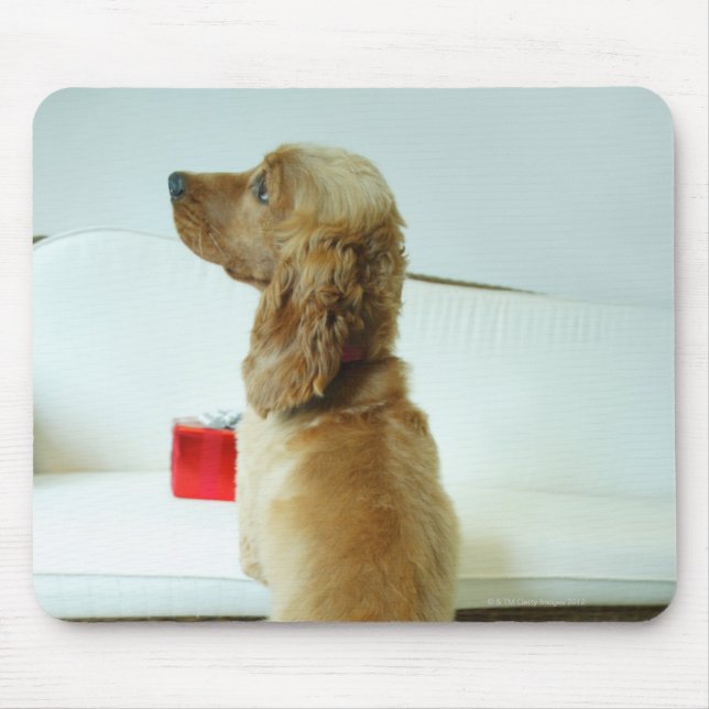 Dog standing on a couch with a gift mouse mat (Front)
