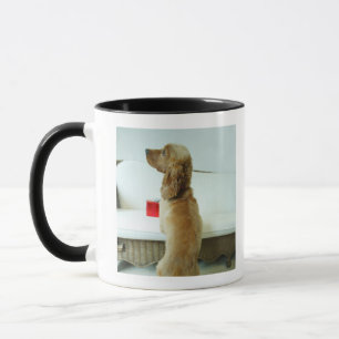 Dog standing on a couch with a gift mug