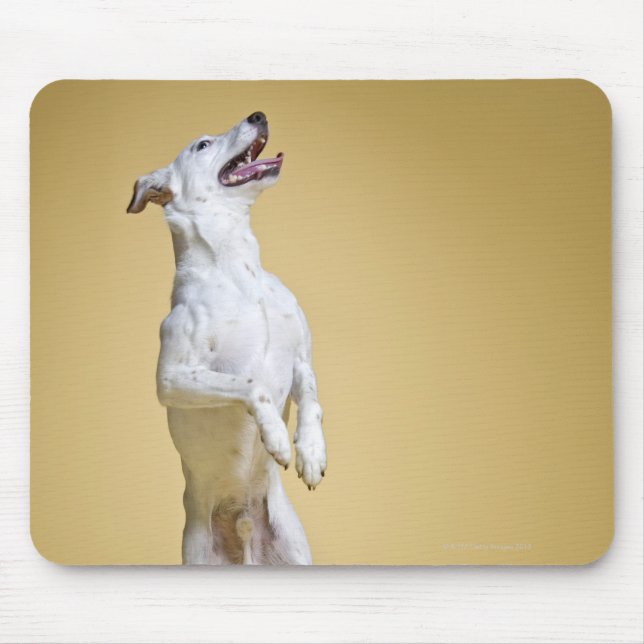 Dog standing on hind legs mouse mat (Front)