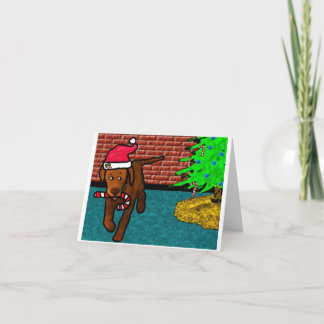dog steals candycane holiday card