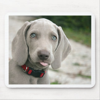 Dog sticking tongue out mouse mat