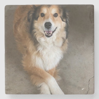 Dog Stone Coaster