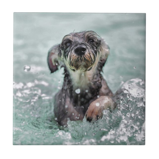 Dog Swimming Doggy Paddle Tile (Front)
